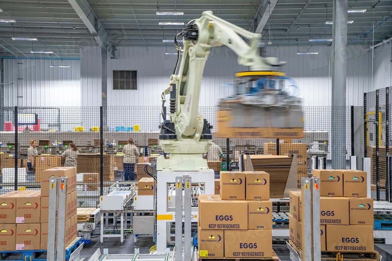 Palletising robot stacking cartons at the end of a packaging line in a warehouse