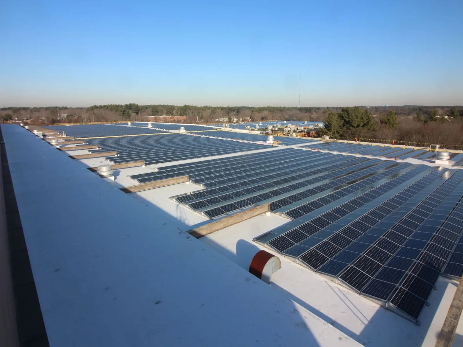 Long rows of solar panels on a large flat commercial roof under a clear evening sky