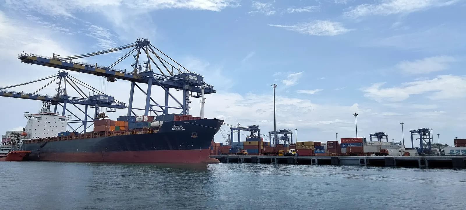 Container ship berthed under gantry cranes at the International Container Transshipment Terminal in Kochi
