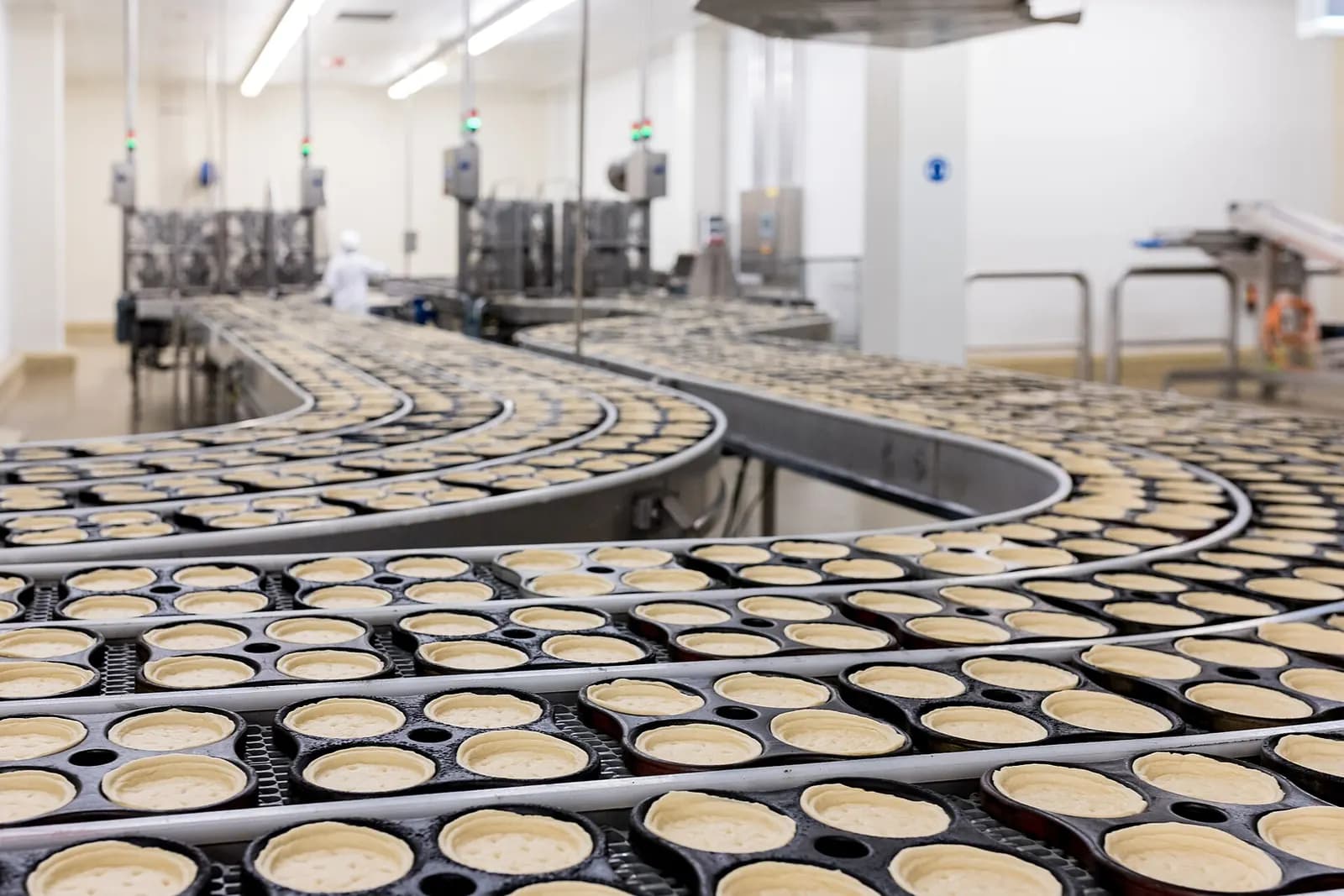 Convenience food production line with rows of bases moving along a curved conveyor in a clean factory hall